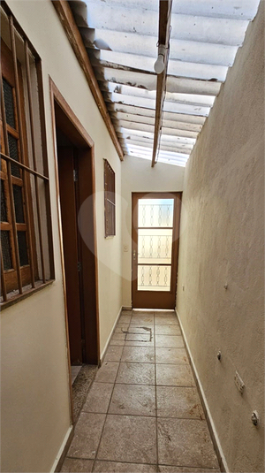 Foto REO527585