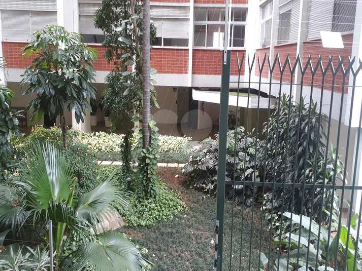 Foto REO527631