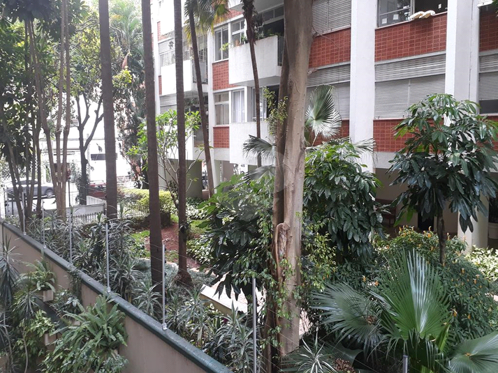 Foto REO527631