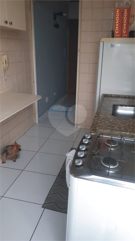 Venda Apartamento São Paulo Lauzane Paulista REO527851 8