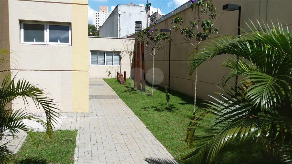 Venda Apartamento São Paulo Brás REO527925 21