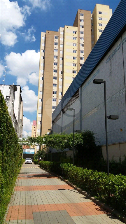 Venda Apartamento São Paulo Brás REO527925 1