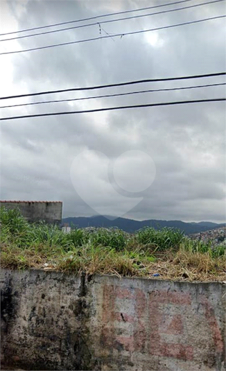 Foto REO528049