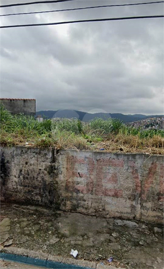 Foto REO528049