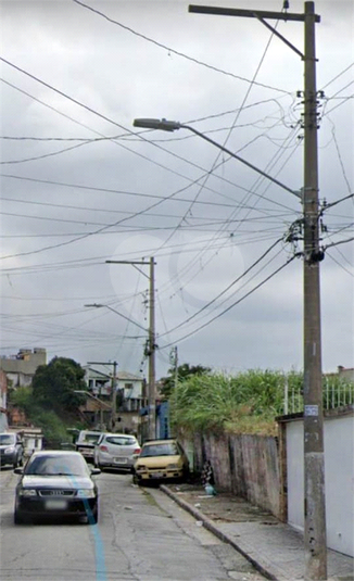 Foto REO528049