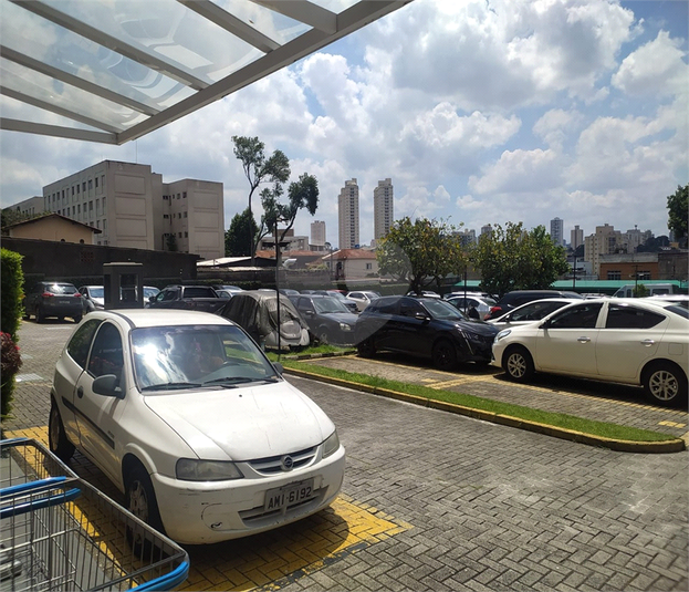 Foto REO528098