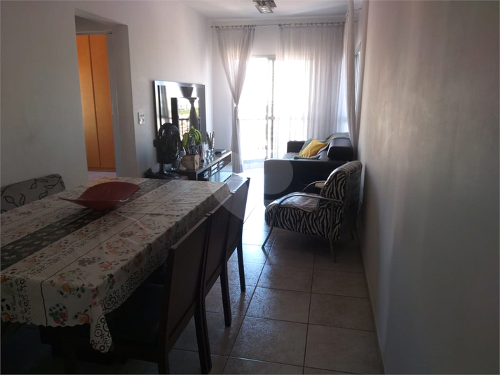 Foto REO528138