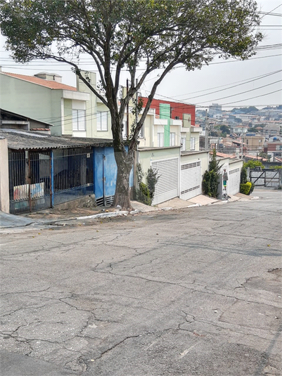 Foto REO528820