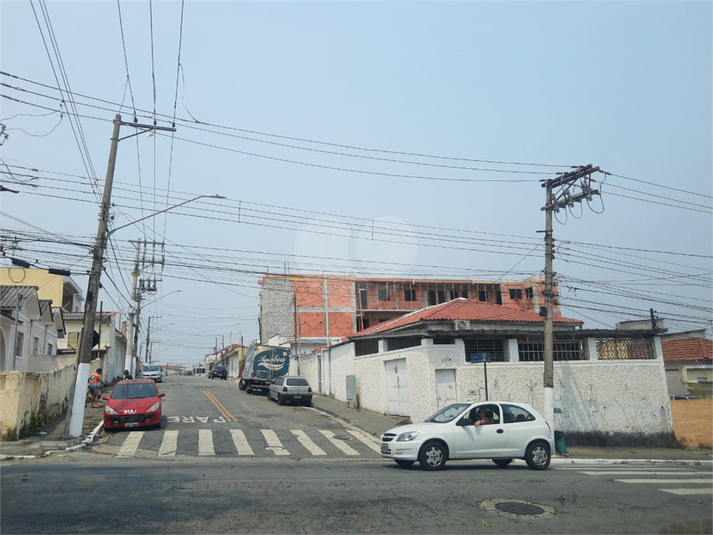 Foto REO528820