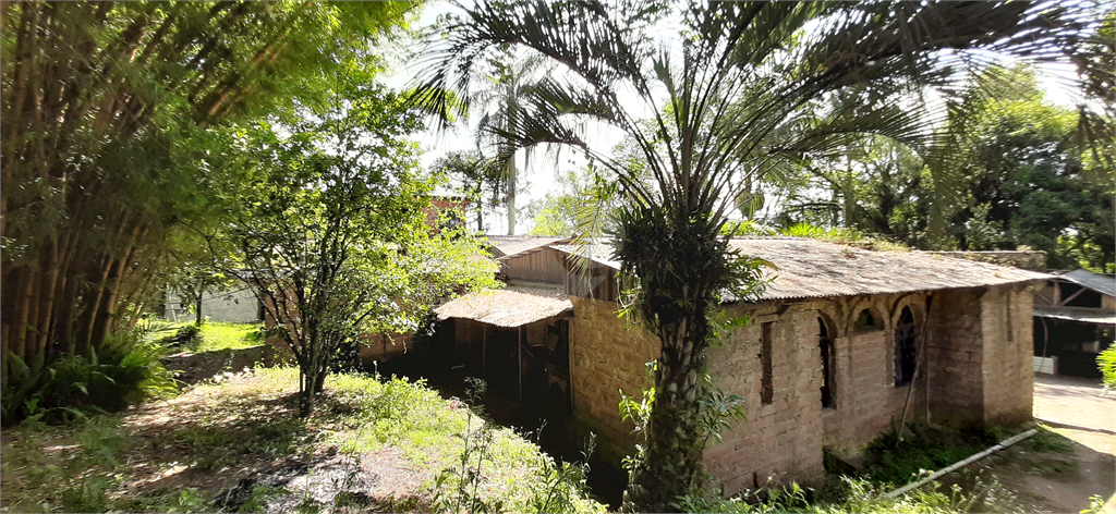 Venda Chácara Gravataí Jardim Do Cedro REO528952 13