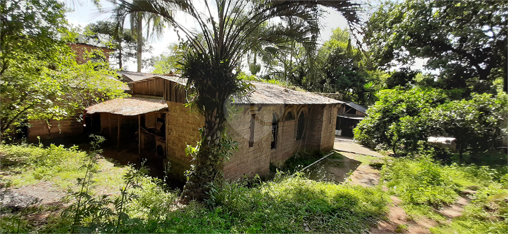 Venda Chácara Gravataí Jardim Do Cedro REO528952 14