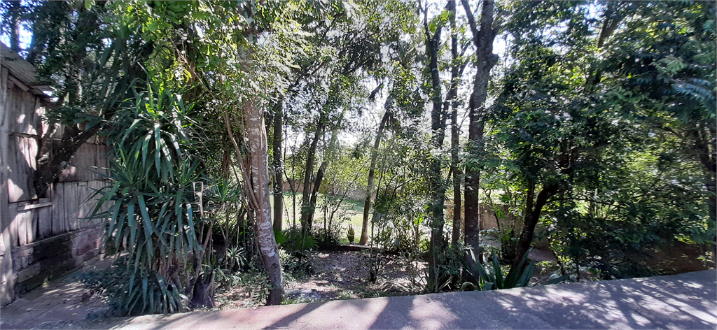 Venda Chácara Gravataí Jardim Do Cedro REO528952 10