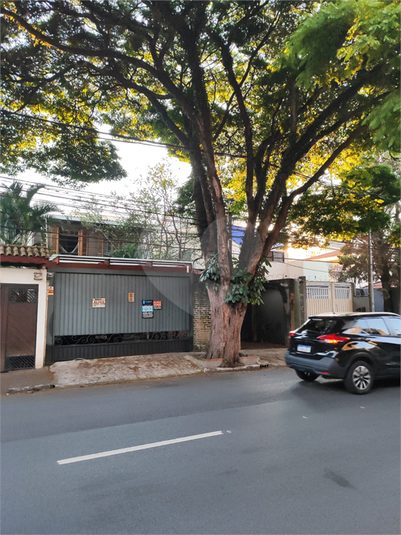 Foto REO528969