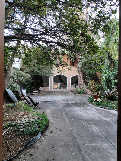 Foto REO528969