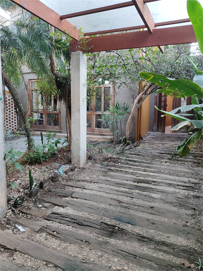 Foto REO528969