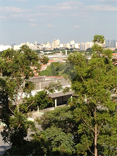 Venda Apartamento São Paulo Jardim Andaraí REO529117 14