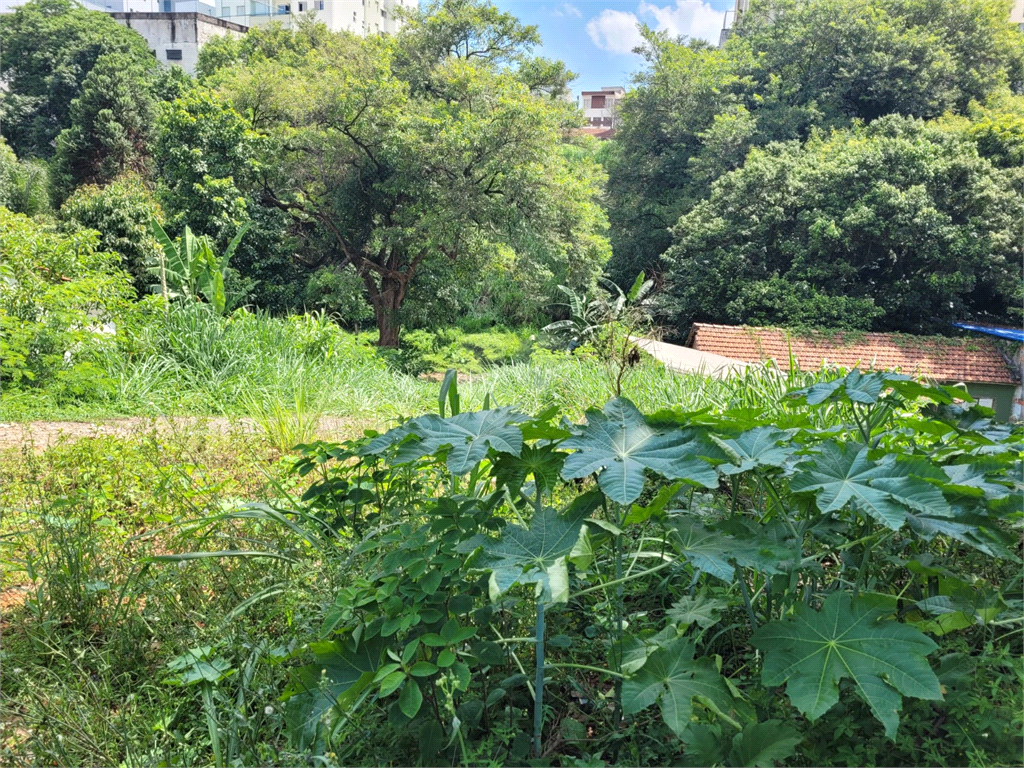 Venda Terreno São Paulo Água Fria REO529336 14