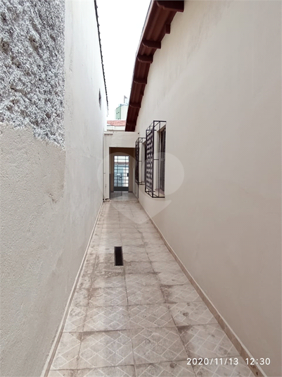 Foto REO529497