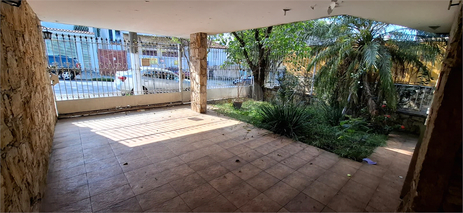 Foto REO52982