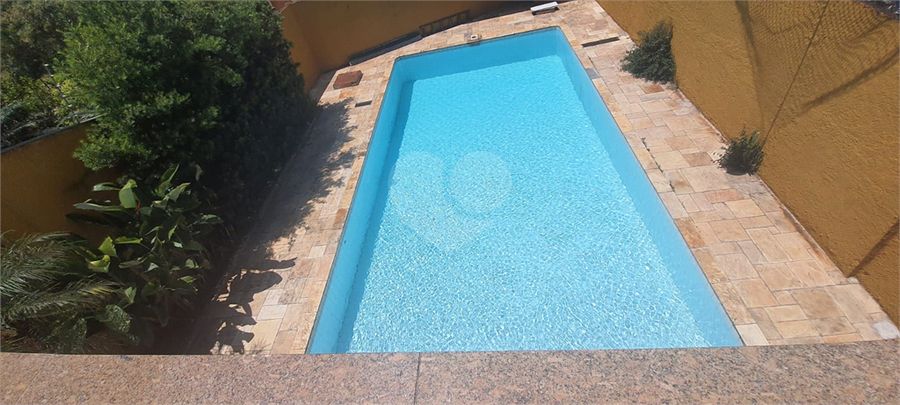 Foto REO52982