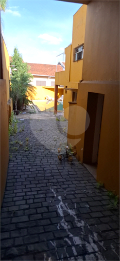 Foto REO52982