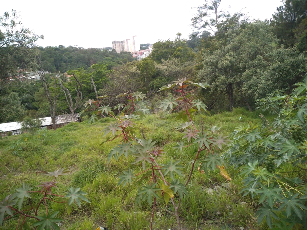 Venda Terreno Barueri Parque Viana REO530450 13