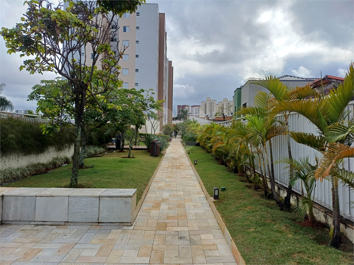 Foto REO530644
