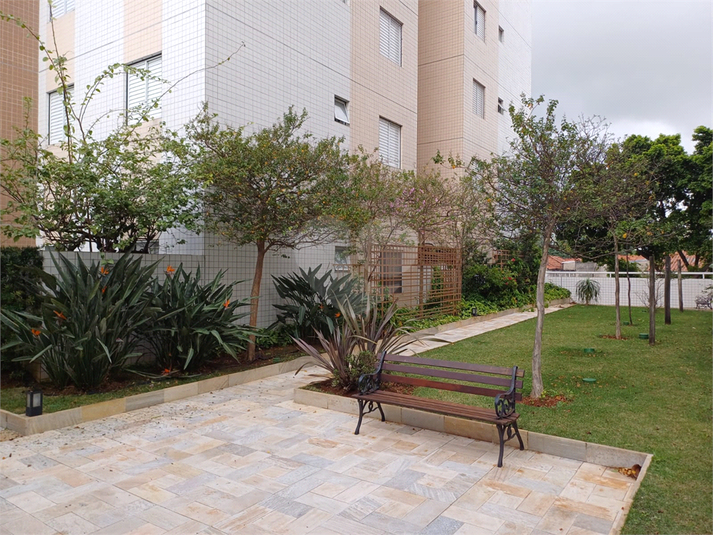 Foto REO530644