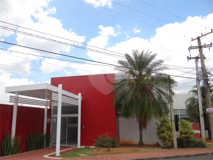 Foto REO531178
