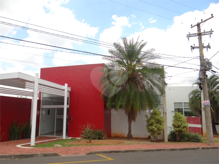 Foto REO531178