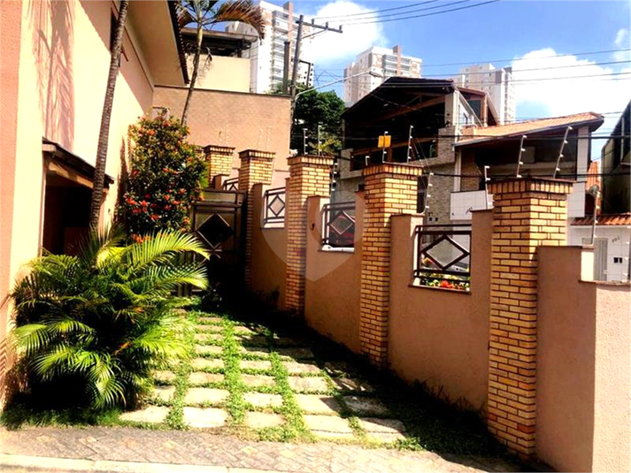 Foto REO533123