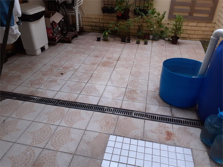 Foto REO533577