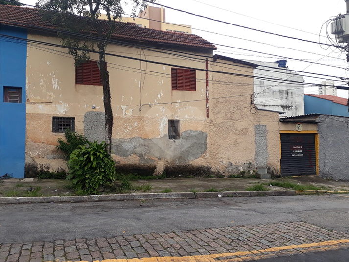 Foto REO533659