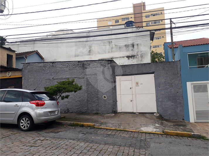 Foto REO533659