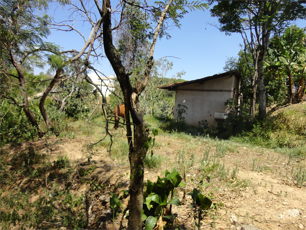 Venda Chácara Vinhedo Vista Alegre REO533796 17