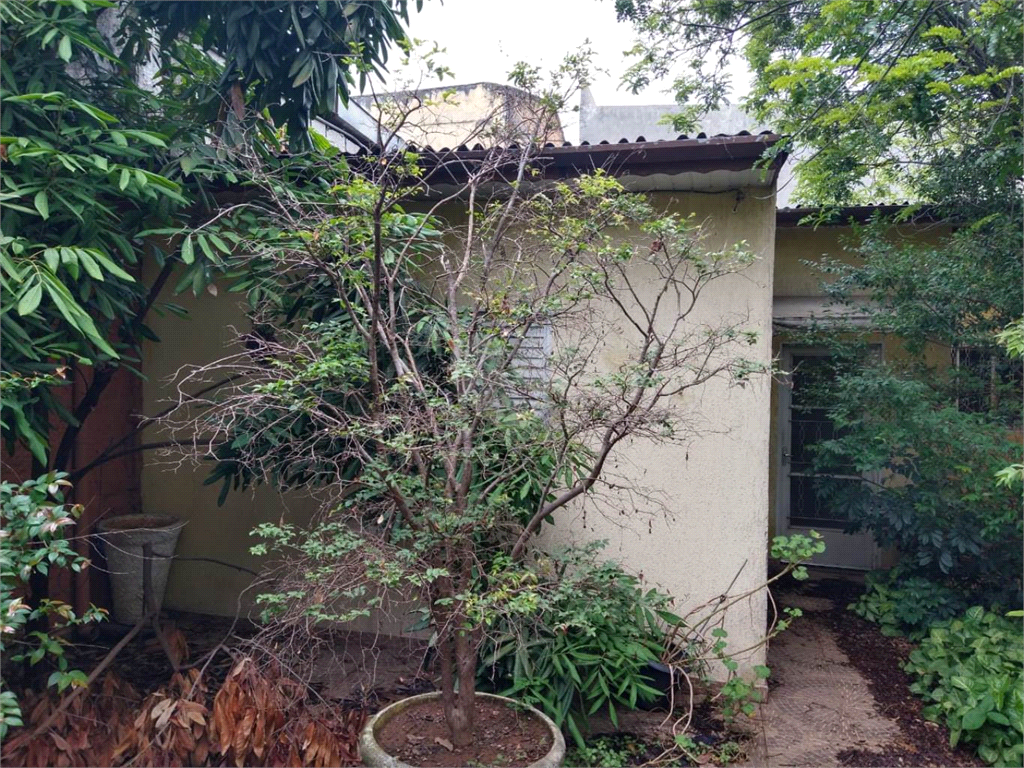 Venda Sobrado São Paulo Canindé REO534156 5