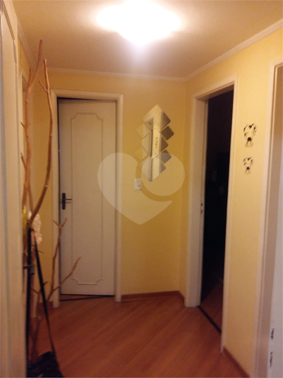 Foto REO534171