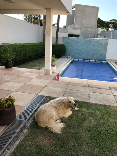 Foto REO534815