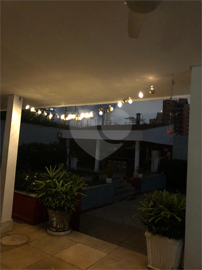 Foto REO534815