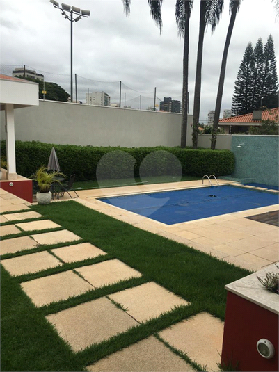 Foto REO534815