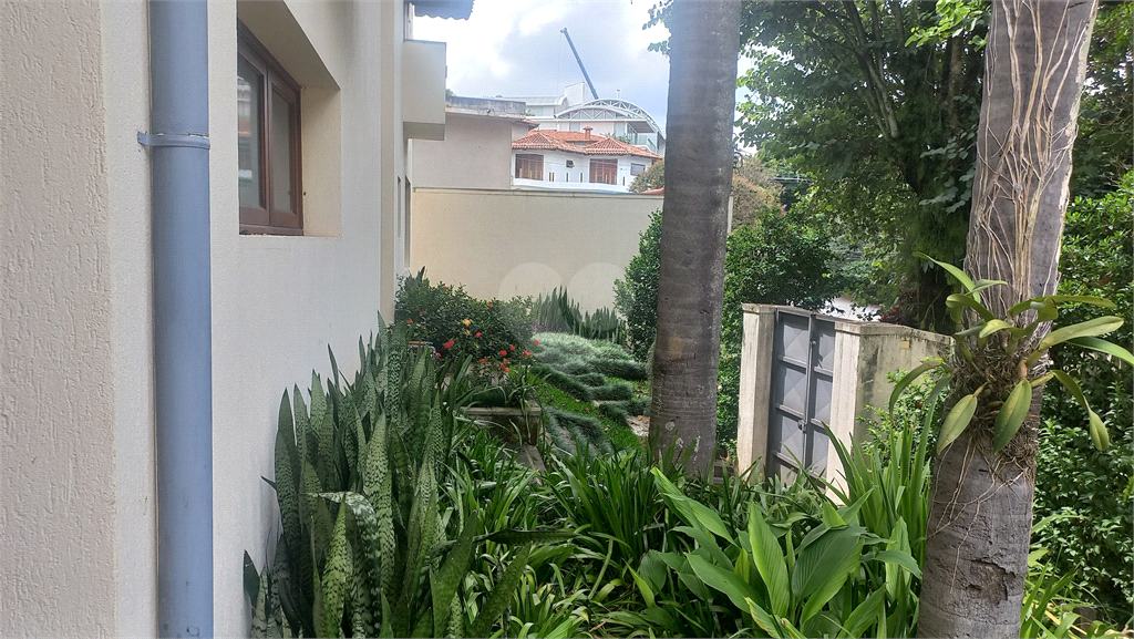 Venda Sobrado São Paulo Vila Ida REO53521 55