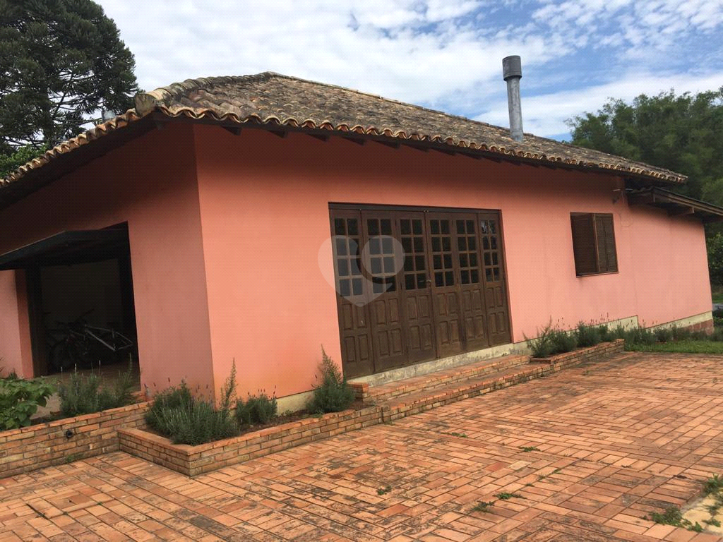 Venda Sítio Gravataí Recanto Corcunda REO535250 34