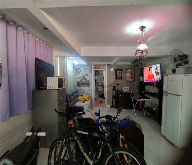 Foto REO535347