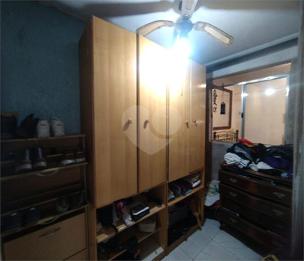 Foto REO535347