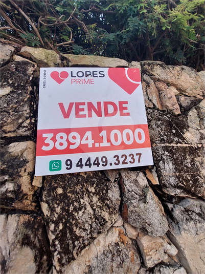 Foto REO535958