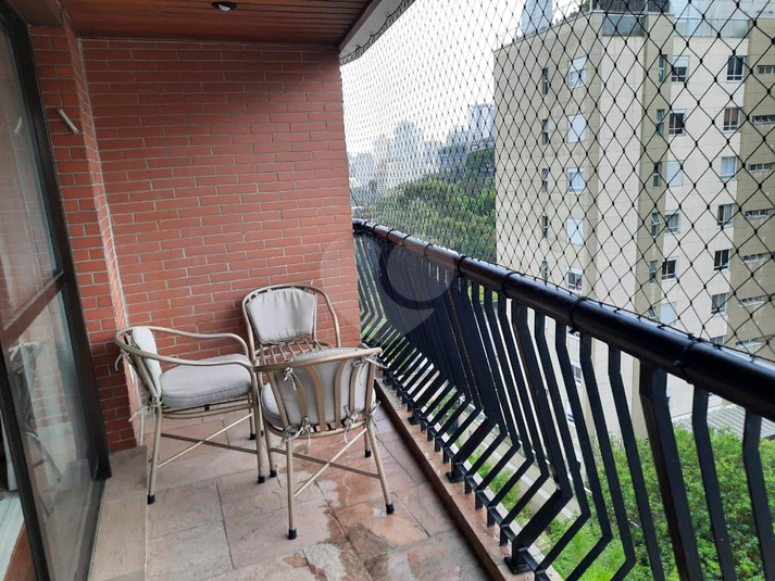 Foto REO536467