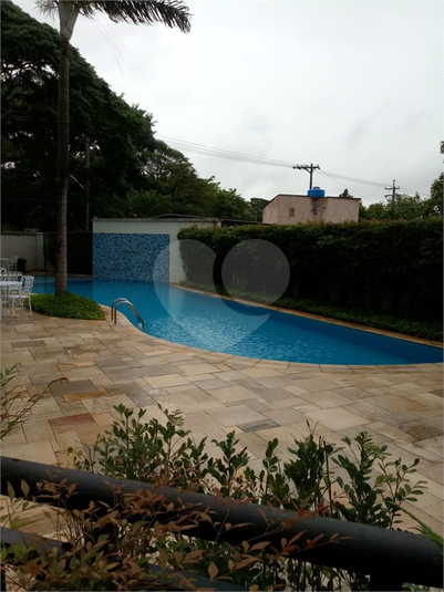 Foto REO536703