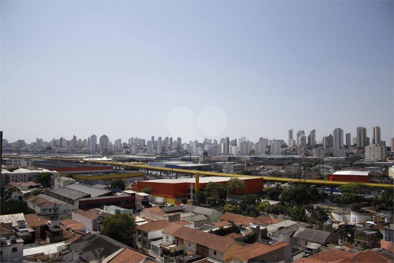 Foto REO536738