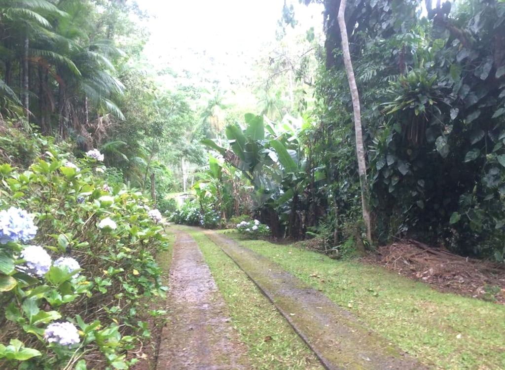 Venda Sítio Juquitiba Zona Rural REO537022 11