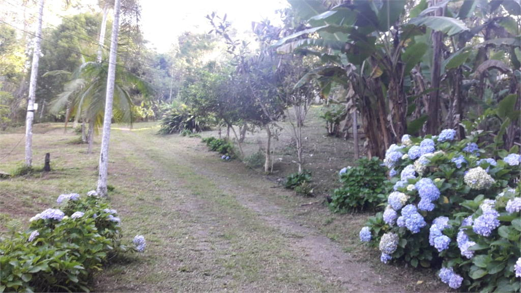 Venda Sítio Juquitiba Zona Rural REO537022 13